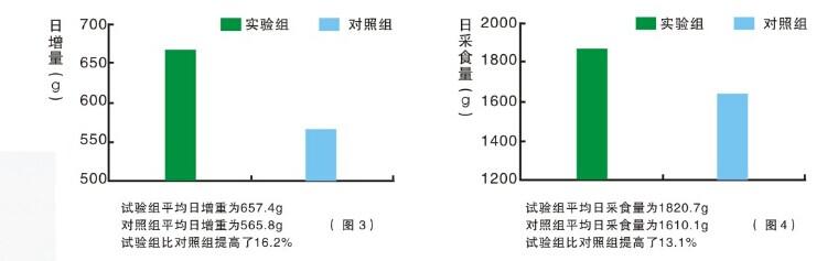肥立美(肥猪散) 肥立美(肥猪散)